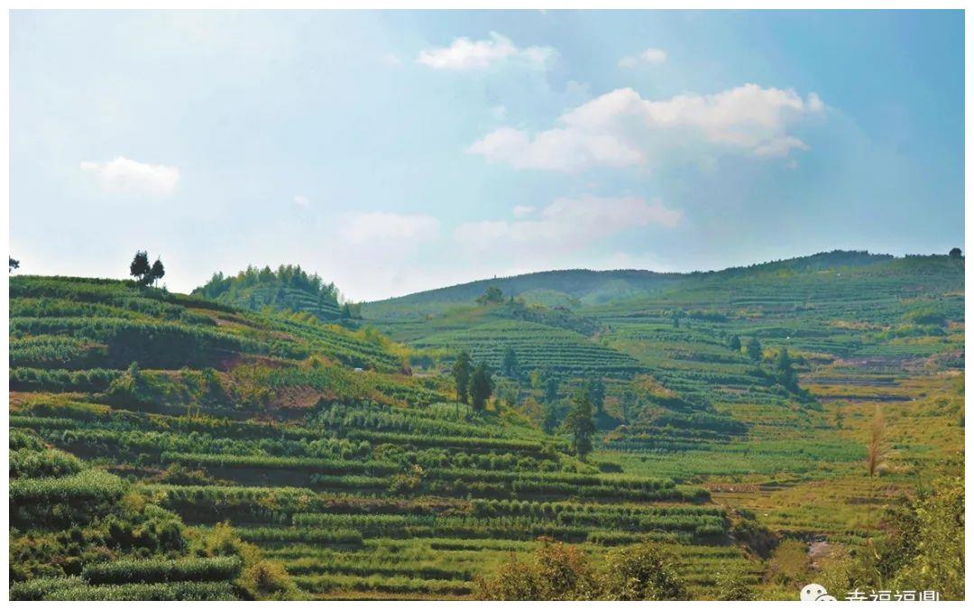 颜值气质双up叠石乡开启一键美颜模式