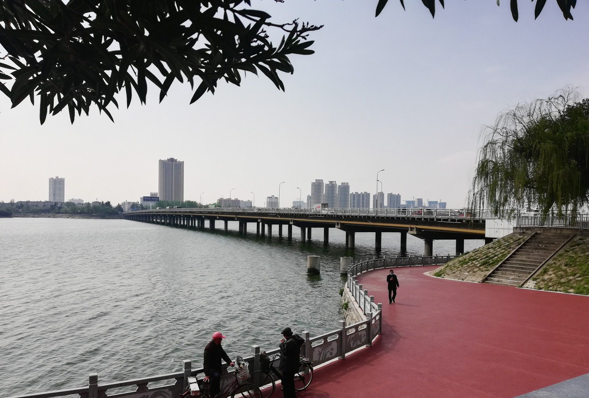 有水的城市有灵气 白河南阳人的母亲河 景美人更幸福