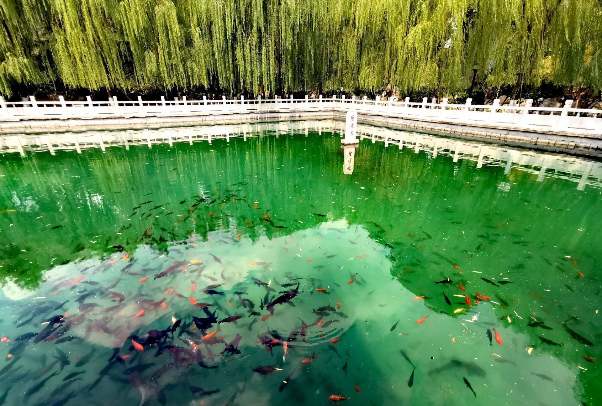 山东省 济南市 珍珠泉 济南四大名泉之一