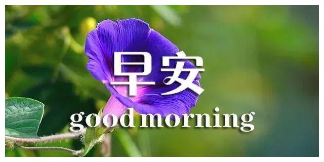 最美早安问候语图片带字温馨清晨早上好暖心的正能量祝福语
