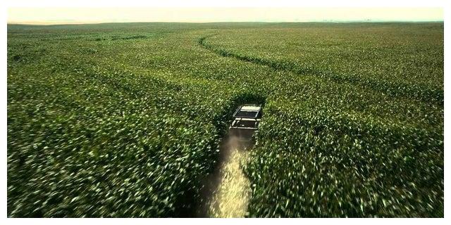 电影《星际穿越》中原野追逐戏,诺兰导演不想用cg,于是种了超过500亩