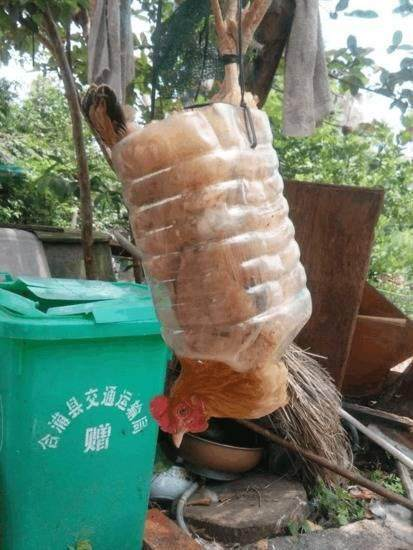 农民大叔自己发明的简易杀鸡工具，轻松解决一只鸡！|老大爷|农家乐|图片|网络|民间_新浪新闻