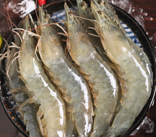 同样是虾人工养殖虾和野生海虾有何区别哪个更好以后别乱买