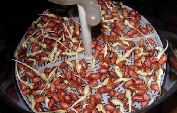 53岁阿姨应聘保姆,做一件事我妈当场发怒,一周后傻了,求着她来休闲区蓝鸢梦想 - Www.slyday.coM 53岁阿姨应聘保姆,做一件事我妈当场发怒,一周后傻了,求着她来休闲区蓝鸢梦想 - Www.slyday.coM