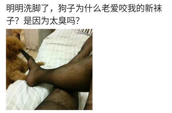 打车遇到一位司机,胳膊上的纹身亮眼了!哈哈哈……有点可爱了休闲区蓝鸢梦想 - Www.slyday.coM 打车遇到一位司机,胳膊上的纹身亮眼了!哈哈哈……有点可爱了休闲区蓝鸢梦想 - Www.slyday.coM