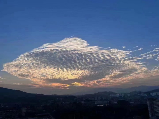 浙江出现一片超大鱼状云朵化身锦鲤送祝福