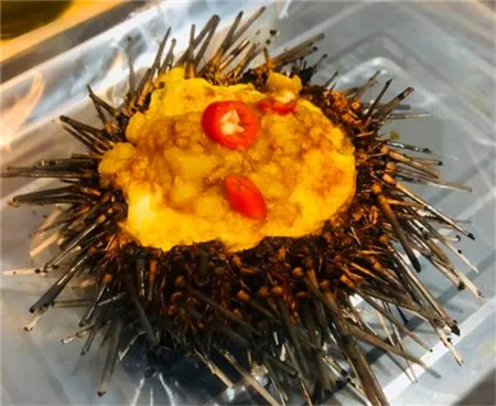 吃遍大连-是自带流量的饕餮美食,靠一只生蚝征服众多吃货~|生蚝|海鲜|