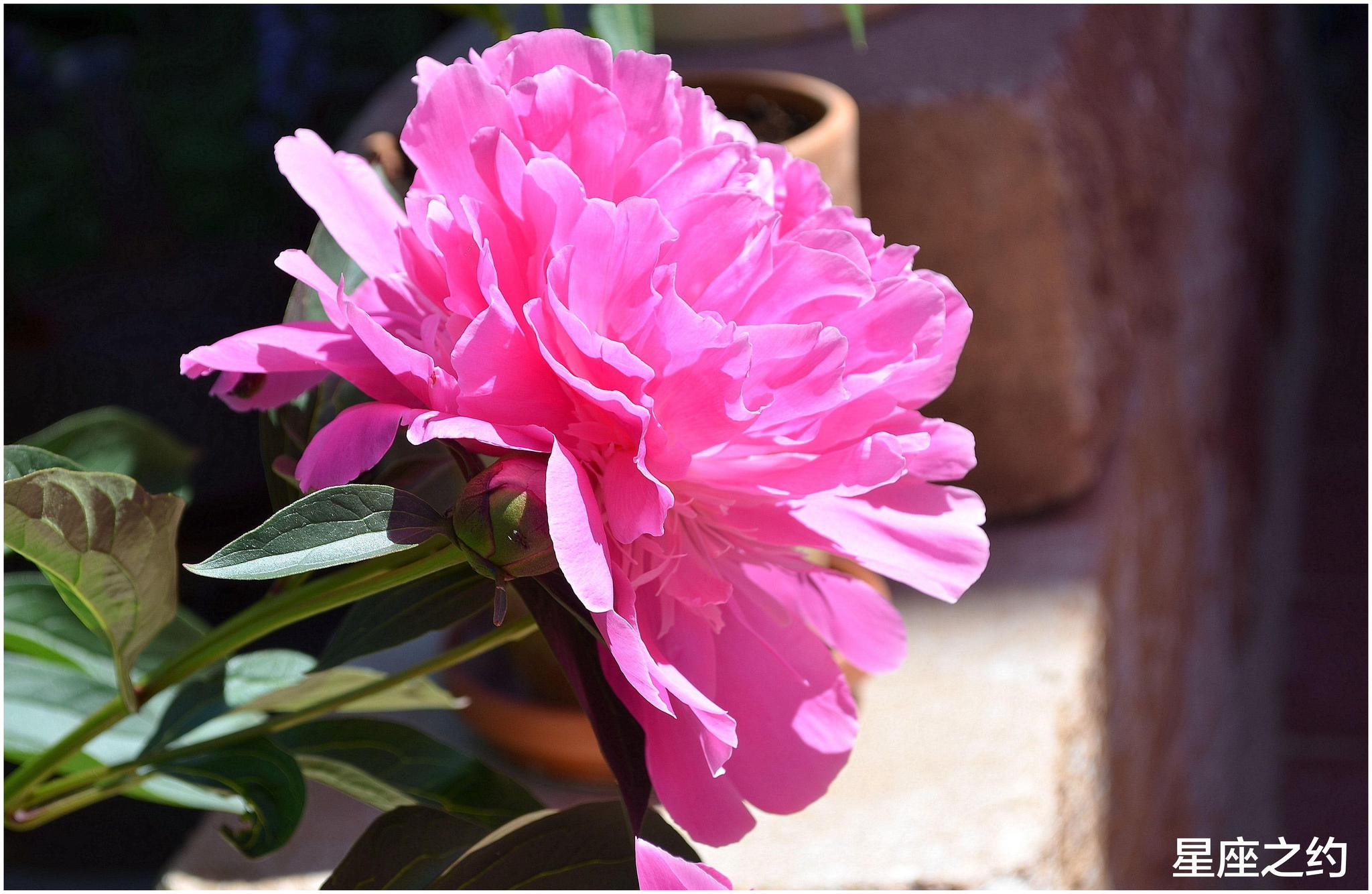 1月15日星座运势 金牛鼓足勇气 狮子独立自主 射手谦虚谨慎 财经头条