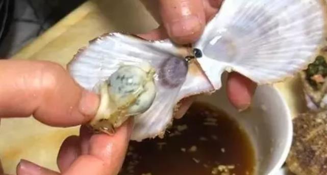 原来海边人是这样吃扇贝的，这才是扇贝的正确吃法，真是长见识了休闲区蓝鸢梦想 - Www.slyday.coM