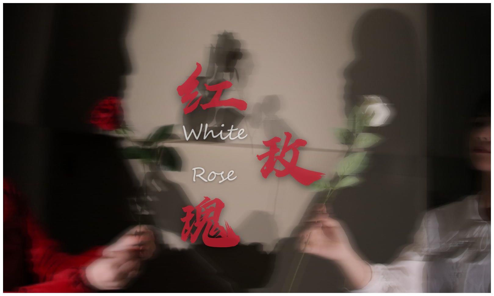 红玫瑰与白玫瑰不论白月光还是朱砂痣迟早都会成为蚊子血