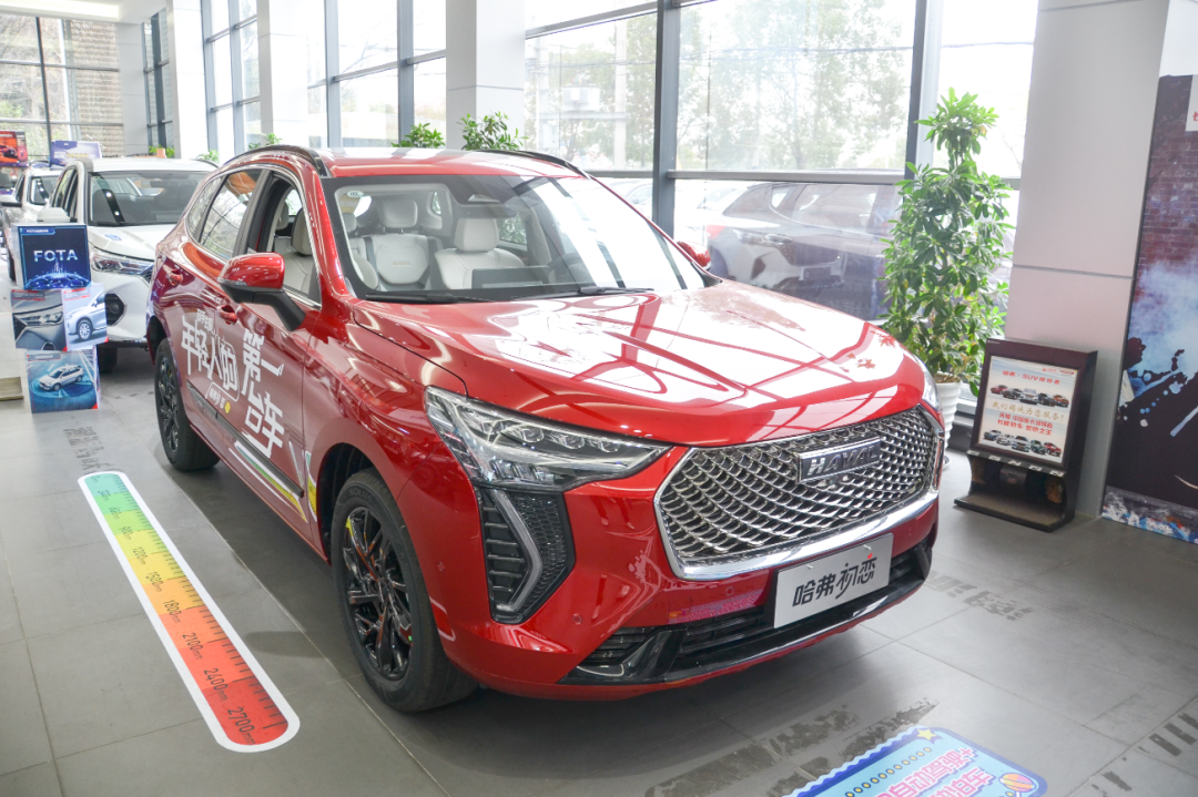 007探店:做年轻人的第一辆车 到店实拍长城哈弗初恋-新浪汽车