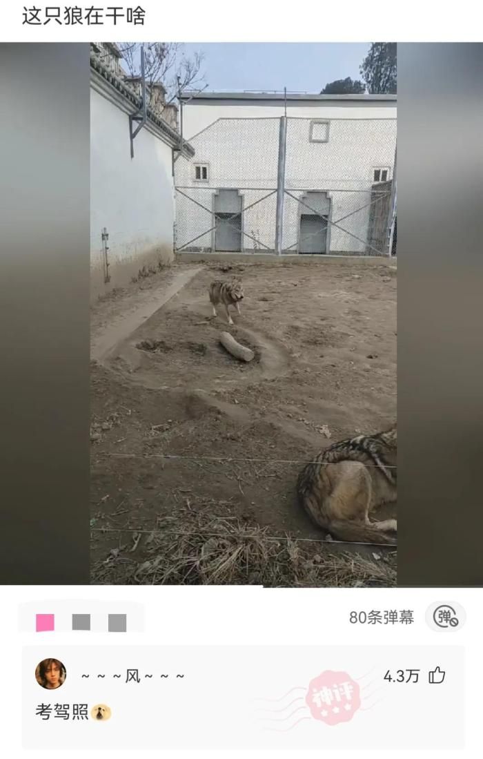 轻松一刻:喂你在哪里?我在那个被树挡住的烤肉店休闲区蓝鸢梦想 - Www.slyday.coM 轻松一刻:喂你在哪里?我在那个被树挡住的烤肉店休闲区蓝鸢梦想 - Www.slyday.coM