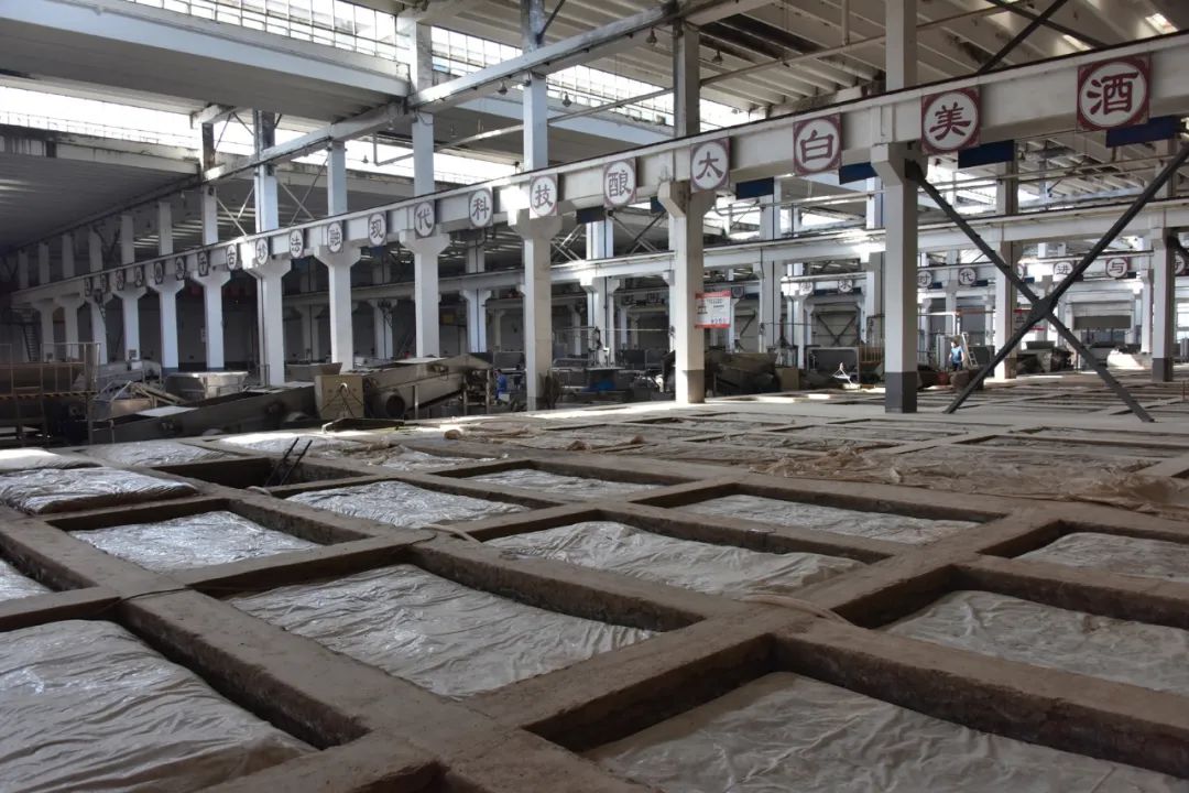 李寻的酒吧:重新崛起的太白酒厂速记