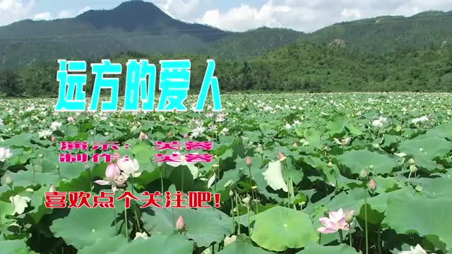 怀旧老歌远方的爱人,有氧健身操,每天健身操练