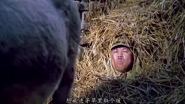 这个抗战剧好幽默一定要看完举起手来潘长江