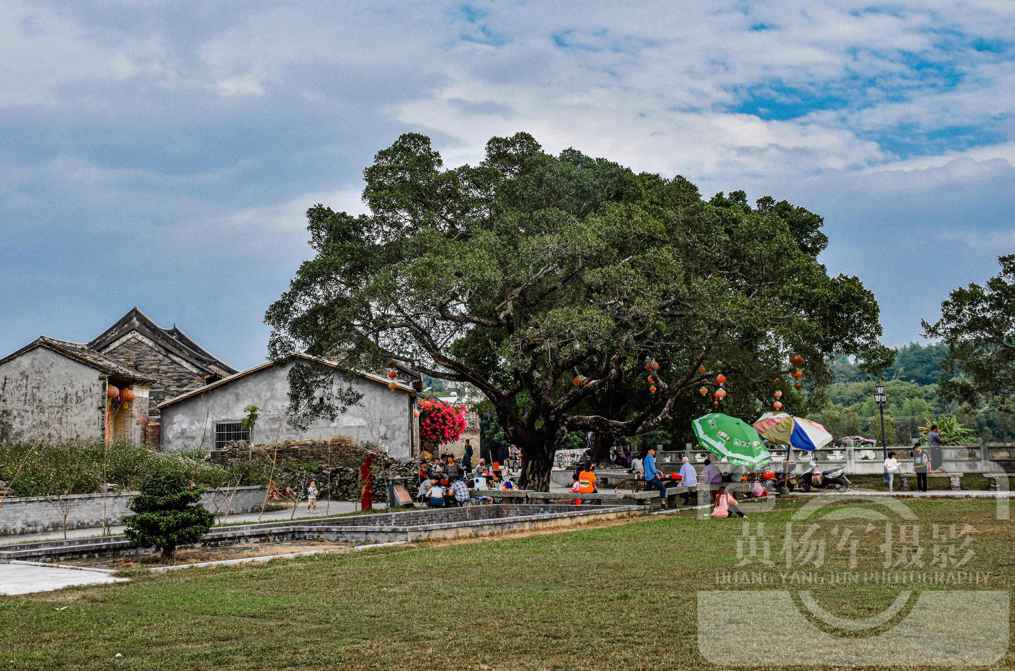 广东博罗县旭日古村,400多年历史的岭南古村落古韵浓郁,看啥样
