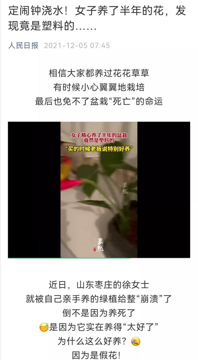 定闹钟浇水！一女子养了半年的花，发现竟是假花！真善美谁重要？休闲区蓝鸢梦想 - Www.slyday.coM