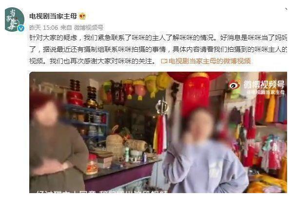 《当家主母》风波升级？群演爆料猫已过世，电击致死当天就埋了休闲区蓝鸢梦想 - Www.slyday.coM