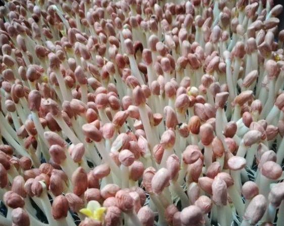 53岁阿姨应聘保姆,做一件事我妈当场发怒,一周后傻了,求着她来休闲区蓝鸢梦想 - Www.slyday.coM 53岁阿姨应聘保姆,做一件事我妈当场发怒,一周后傻了,求着她来休闲区蓝鸢梦想 - Www.slyday.coM