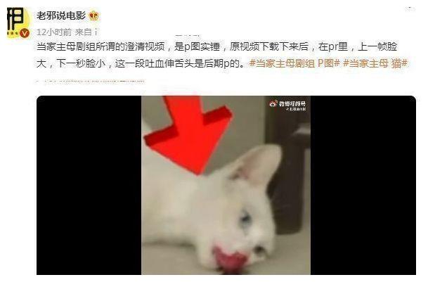 《当家主母》风波升级？群演爆料猫已过世，电击致死当天就埋了休闲区蓝鸢梦想 - Www.slyday.coM