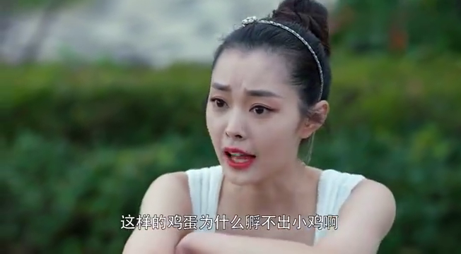 晗芝问高晨为啥孵不出小鸡,结果高晨的回答,吕晗芝却没明白