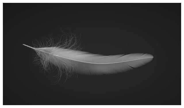 心理测试：第一眼最喜欢哪片羽毛？测出下个月你会发生哪些好事休闲区蓝鸢梦想 - Www.slyday.coM