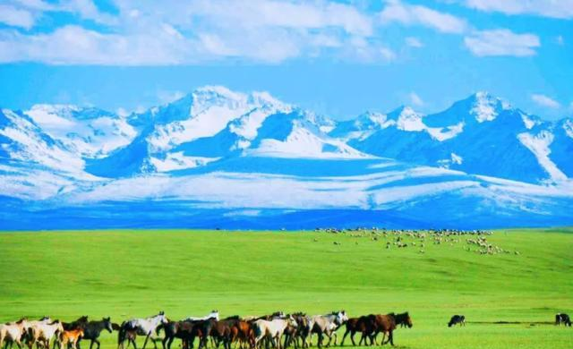 新疆的神奇景观,盐湖“开花”,一个去过就忘不了的地方休闲区蓝鸢梦想 - Www.slyday.coM 新疆的神奇景观,盐湖“开花”,一个去过就忘不了的地方休闲区蓝鸢梦想 - Www.slyday.coM