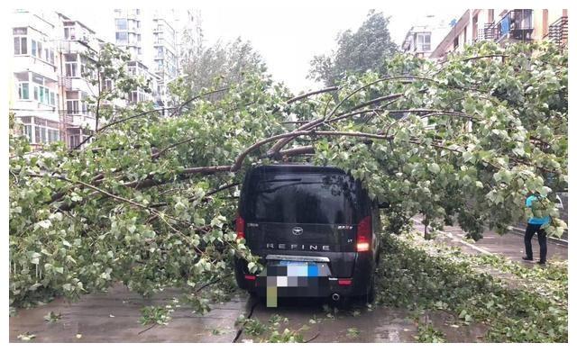 注意夏天，尽量不要停在这四个地方，否则车就报废了