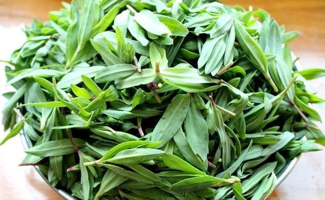 春天的这种野菜用来包包子包饺子味道简直让人流连忘返