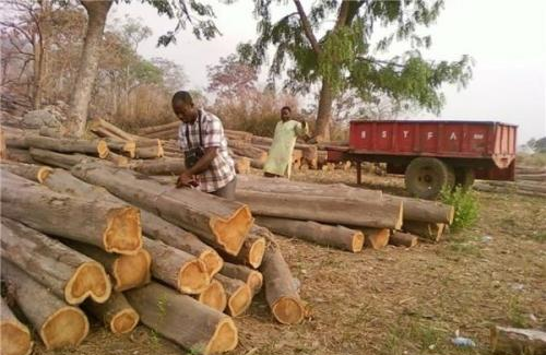 中国曾借给非洲这一国家几百亿，后又免除其债务，如今被涌泉相报休闲区蓝鸢梦想 - Www.slyday.coM