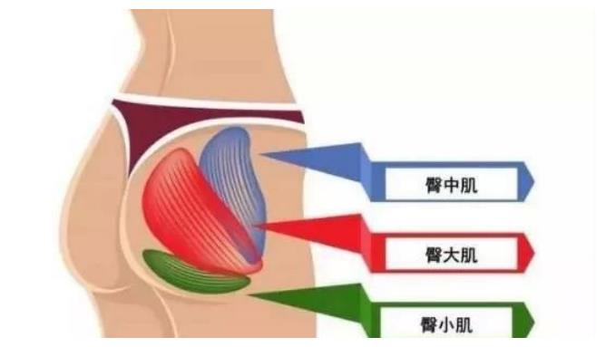 为什么人会长 屁屁毛 可以刮掉吗 先了解这4大用处后再决定 肛门 会长 屁股 新浪新闻 为什么人会长 屁屁毛 可以刮掉吗 先了解这4大用处后再决定 肛门 会长 屁股 新浪新闻