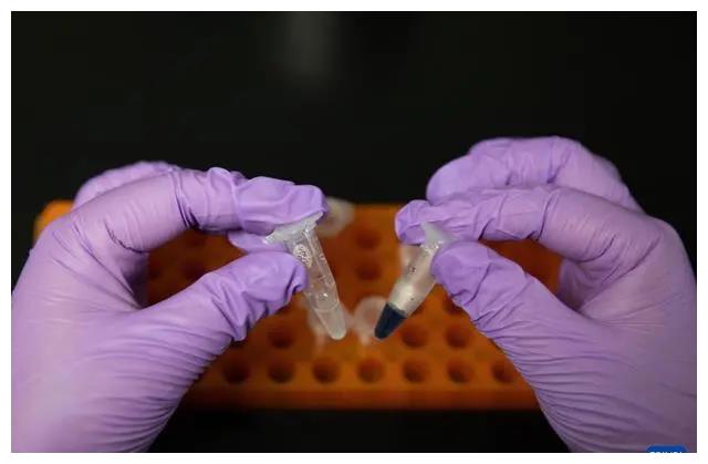 重大突破!直接人工合成淀粉,我国科学家做到了!休闲区蓝鸢梦想 - Www.slyday.coM 重大突破!直接人工合成淀粉,我国科学家做到了!休闲区蓝鸢梦想 - Www.slyday.coM