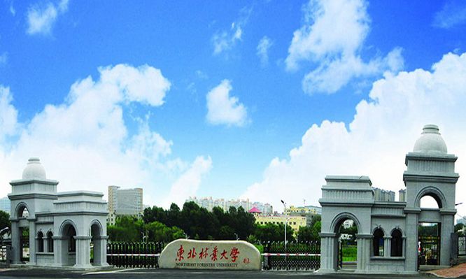 东北林业大学美颜_高清图集_新浪网