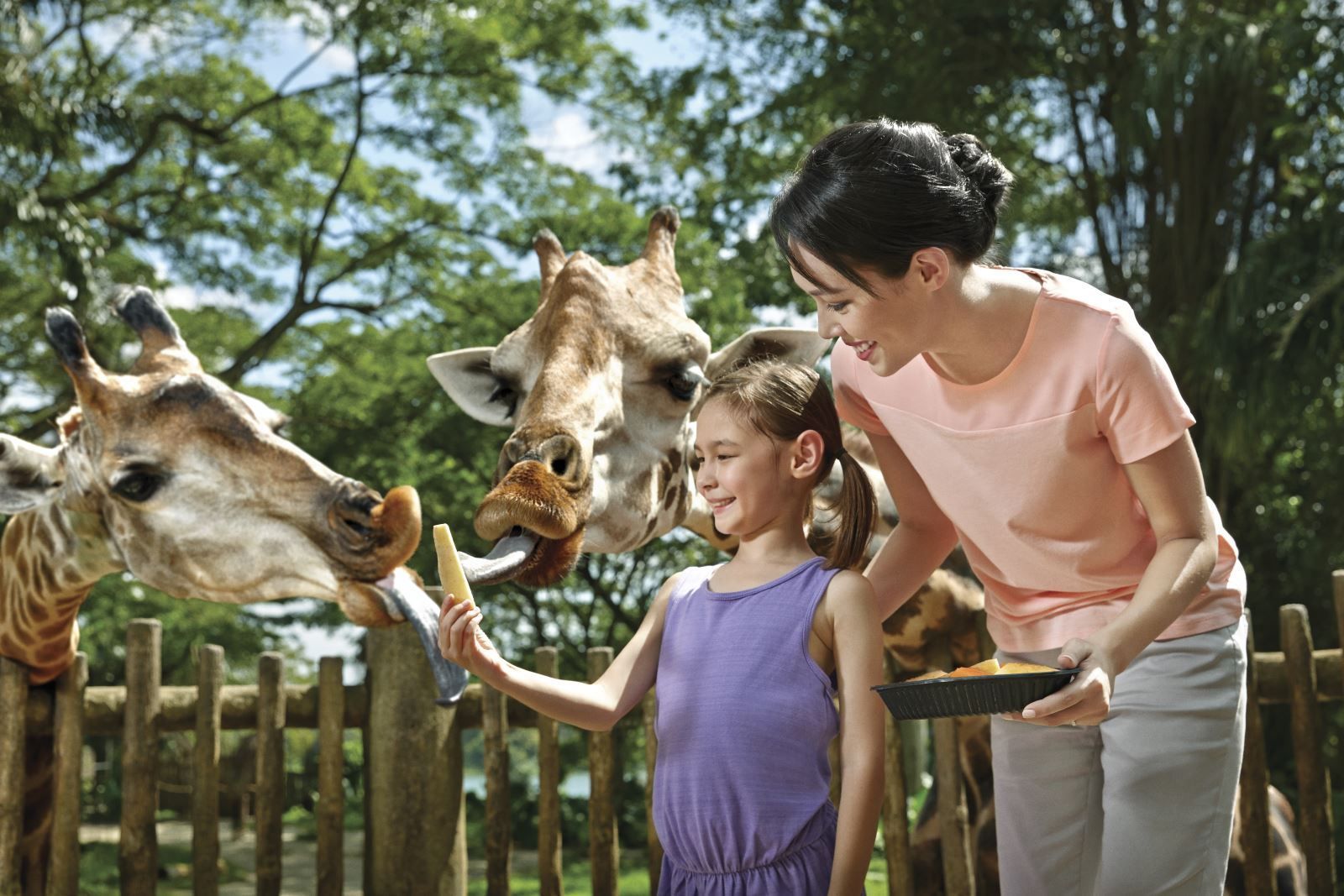 与大自然的约会，<a href=