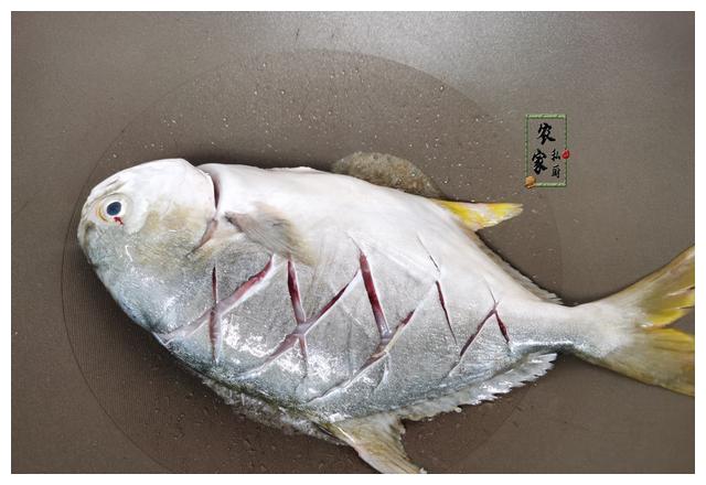 碰到此物我从不还价,纯野生一次买好几条,肉厚刺少,孩子特爱吃|鲳鱼