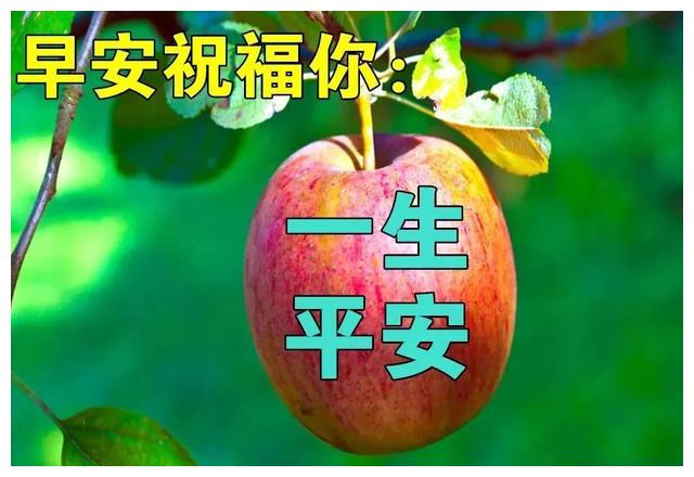 特别漂亮冬日早上好祝福动画图片早安问候祝福动态水果图片表情