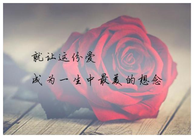 爱过你至少我坦诚承认(爱过你至少我坦诚承认什么意思)