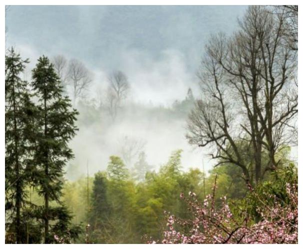 老人把一棵怪树种在儿子坟前，日夜浇灌60年，在她临终前结出果子休闲区蓝鸢梦想 - Www.slyday.coM