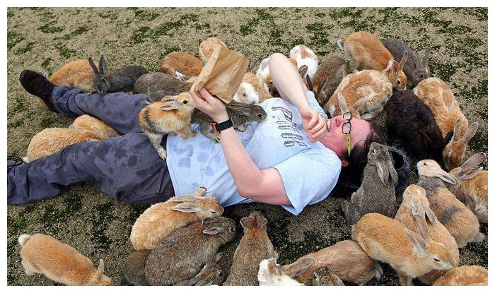 被动物占领的9座岛屿，看到它们会被萌化，你准好了吗？（下）休闲区蓝鸢梦想 - Www.slyday.coM