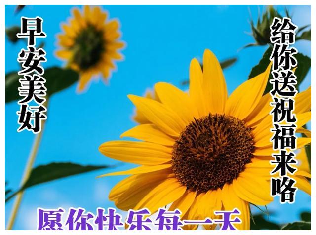 星期二早上好表情图片带字让人心情好的早安句子