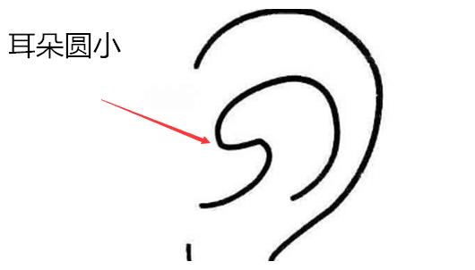 什么样的耳朵最好命大而垂小而圆挣大钱做高官