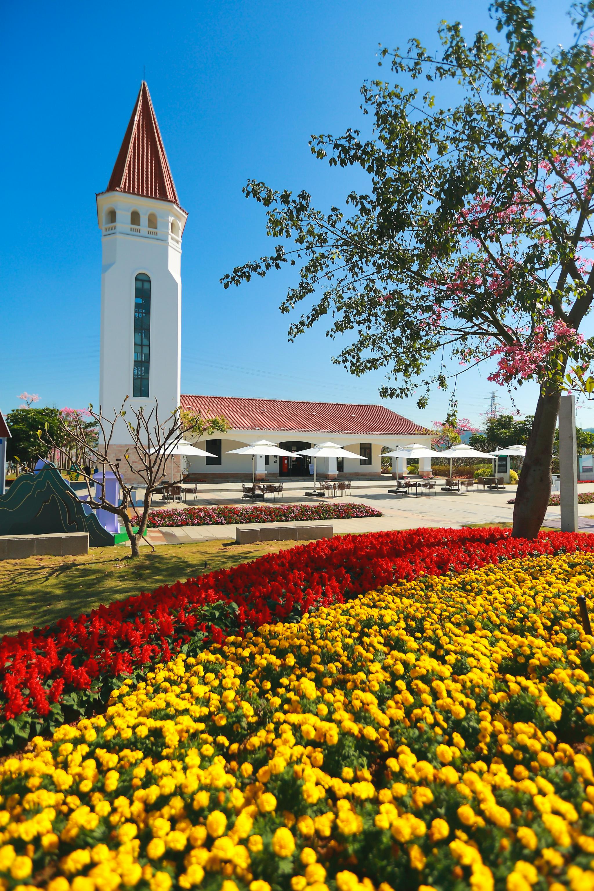 横琴花海长廊硬件 内容全新升级 近百名粤澳网络达人齐聚体验