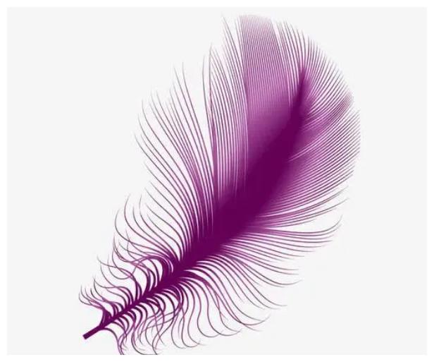 心理测试：第一眼最喜欢哪片羽毛？测出下个月你会发生哪些好事休闲区蓝鸢梦想 - Www.slyday.coM