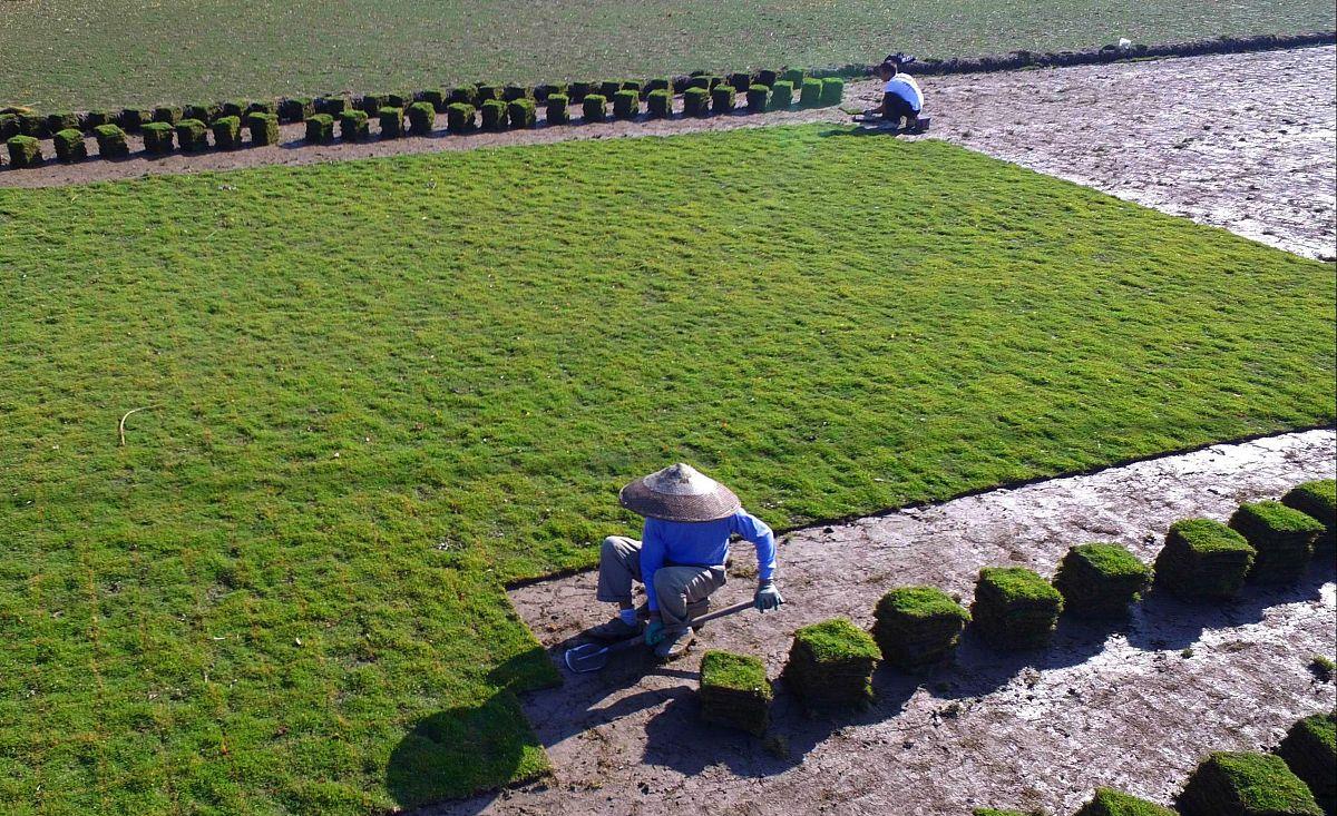 亲子游戏彩虹伞的玩法