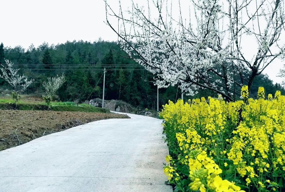 春天,乡村,美景,总是那么迷人_高清图集_新浪网