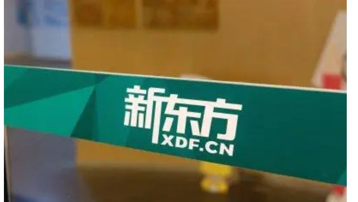 正式跨界！新东方正式开启直播带货休闲区蓝鸢梦想 - Www.slyday.coM