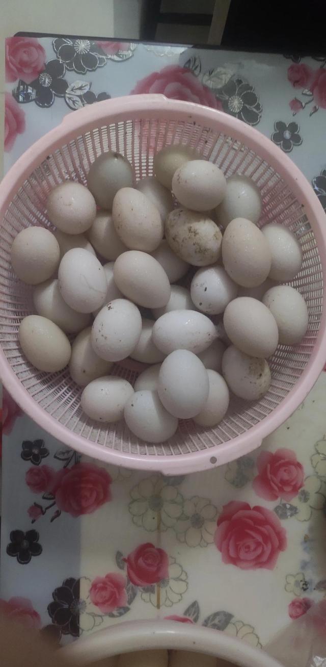 如何腌制咸鸭蛋（在家如何腌制咸鸭蛋）-第2张图片-潮百科