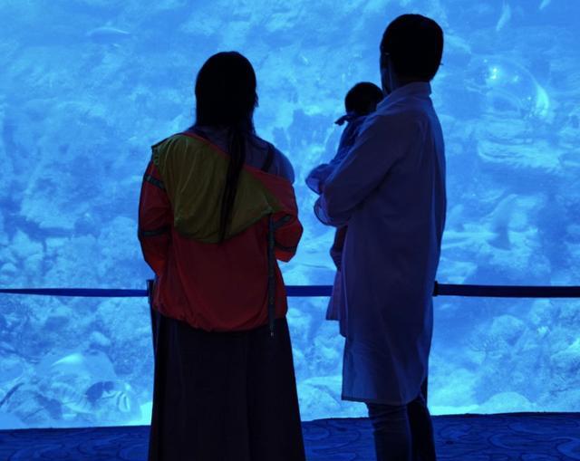 向佐罕见公开全家福,郭碧婷状态成焦点,手抱女儿动作娴熟休闲区蓝鸢梦想 - Www.slyday.coM 向佐罕见公开全家福,郭碧婷状态成焦点,手抱女儿动作娴熟休闲区蓝鸢梦想 - Www.slyday.coM