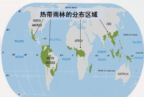 巴西4万军人灭火550万热带雨林烧了22天巴西总统说我不管