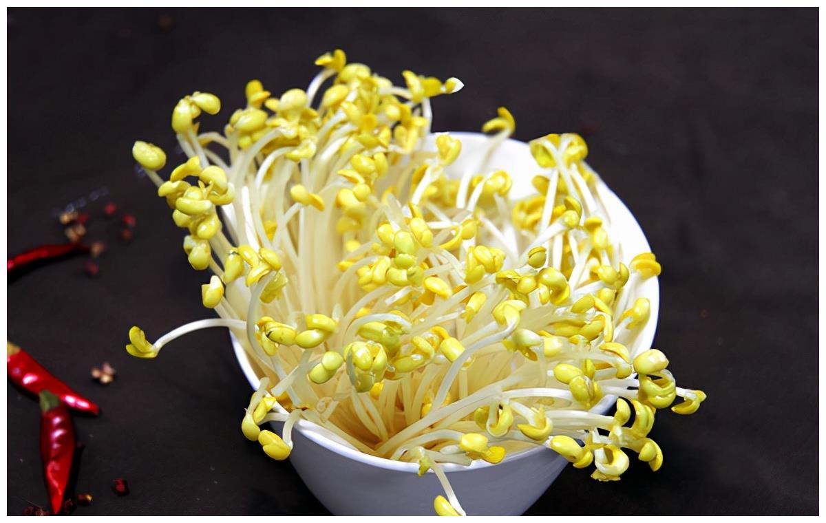 井水豆芽都是用天然的井水喂养大的,脆脆嫩嫩的,非常养身,都是天然